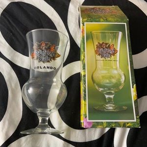 Rainforest Cafe Orlando (FL) Frozen Drink Glass